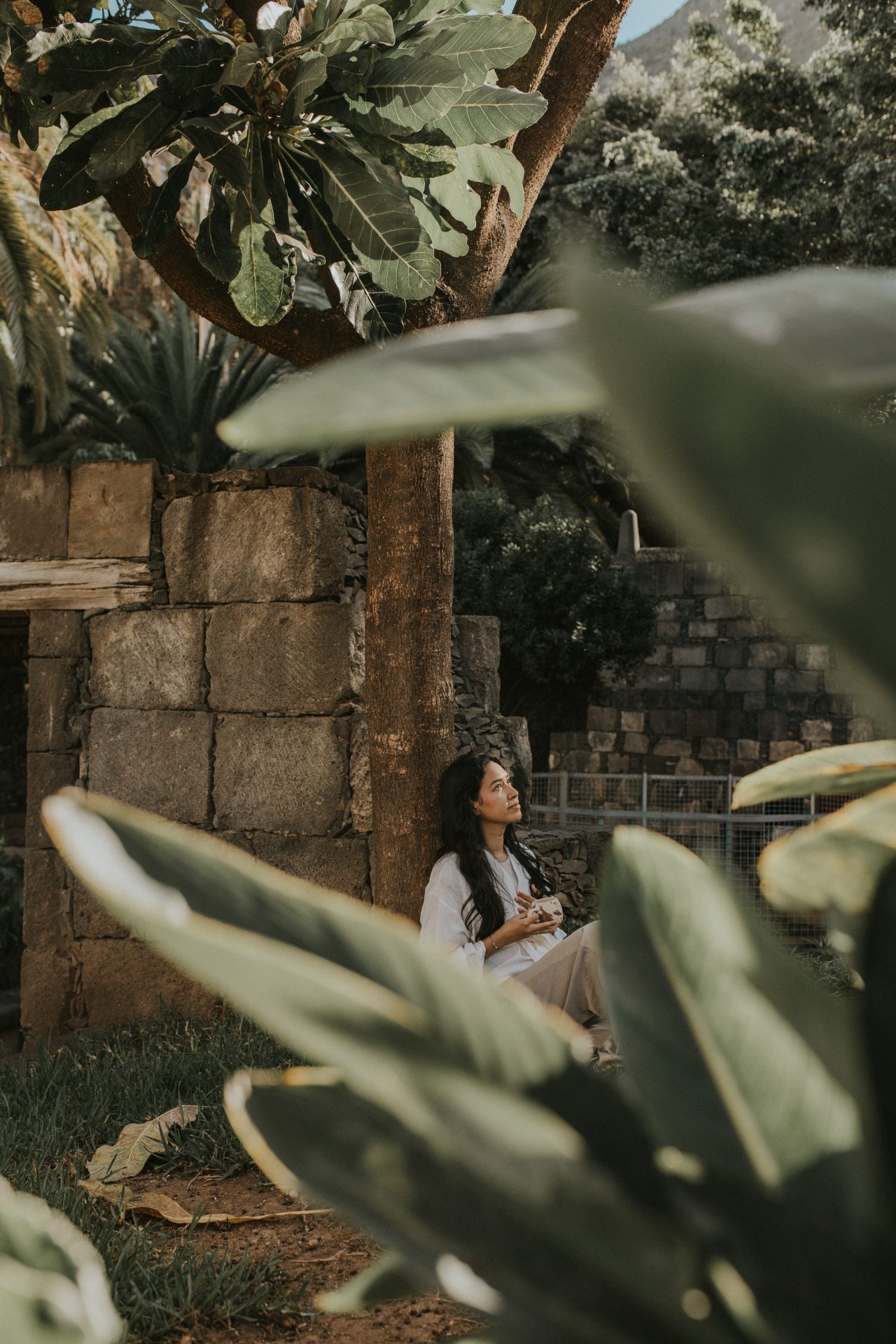 Bienestar integral: un viaje de ciencia, consciencia y autodescubrimiento